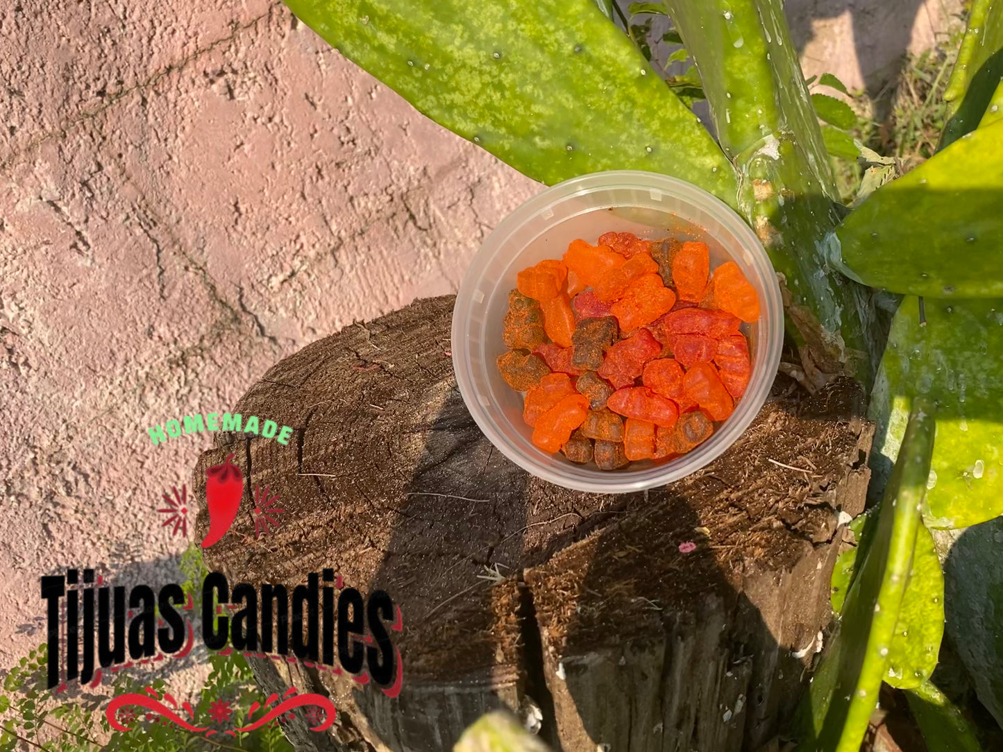 Tijuas Gummy Bears